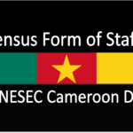 MINESEC DRH Census 2019
