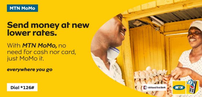 How to Reset MTN Mobile money Pin Code in Cameroon