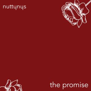 Download Nutty Nys – The Promise mp3